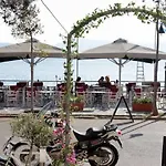 Maravellia