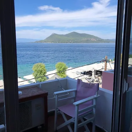 Maravellia 루트라 에디프수