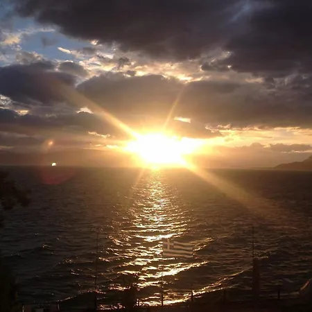 Maravellia 루트라 에디프수