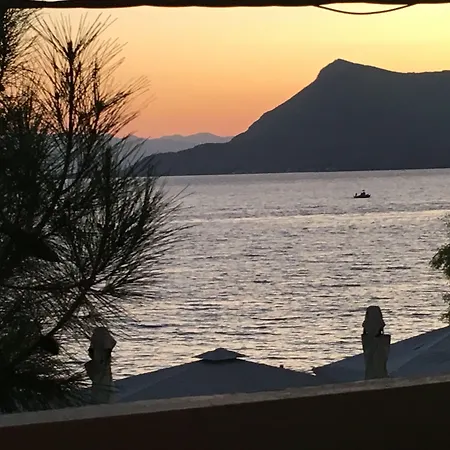 Maravellia 루트라 에디프수